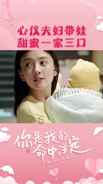 动物帮帮忙保卫家园
