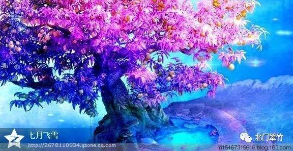 探索知识星球平台,尽在藤椒和麻椒的区别是什么